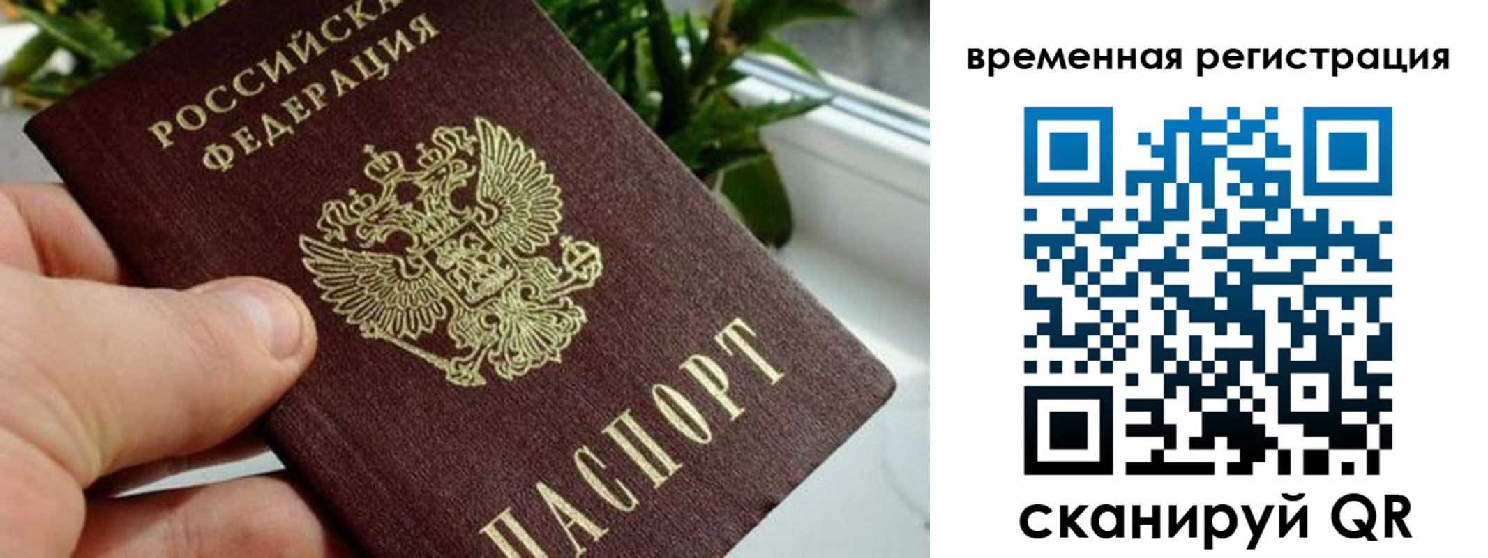 прописка поиск в Ишиме